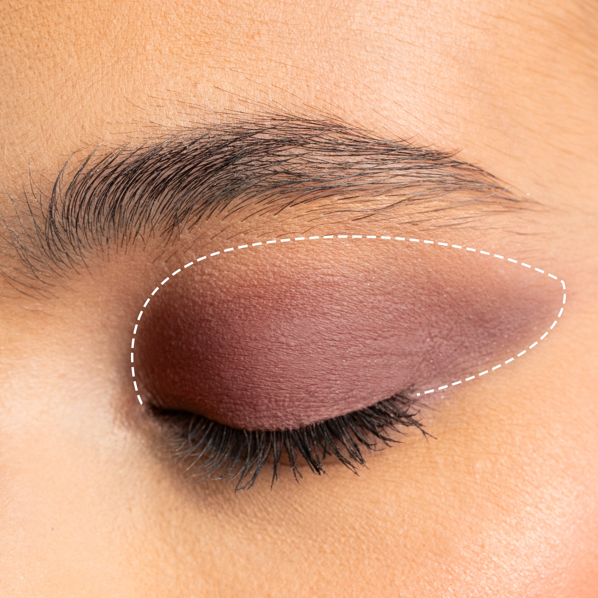 Drawmatic Shadow - 103 Cookie